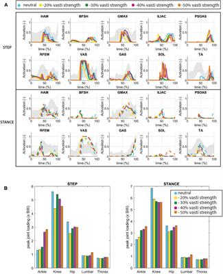 Is increased trunk flexion in standing up related to muscle weakness or pain avoidance in individuals with unilateral knee pain; a simulation study